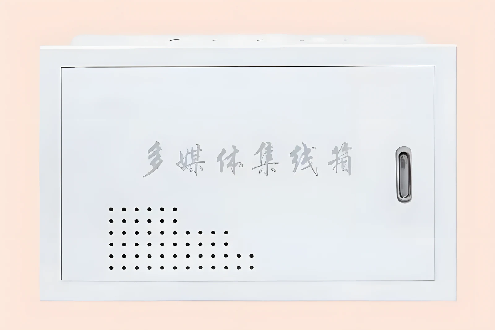 SWTX-D2 multimedia communication box